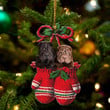 Shar Pei Inside Your Gloves Christmas Holiday-Two Sided Ornament