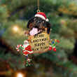 Rottweiler-Christams & New Year Two Sided Ornament