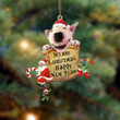 Bull Terrier-Christams & New Year Two Sided Ornament