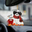 Havanese 1-Fall Chocolate-Two Sided Ornament