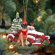 Great Dane 3-Christmas Car Two Sided Ornament