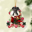 Great Dane 1-Red Boot Hanging Ornament