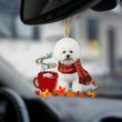 WHITE Bichon Frise-Fall Chocolate-Two Sided Ornament