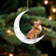 Pomchi-Sit On The Moon-Two Sided Ornament