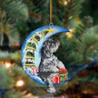 Schnauzer Sit On The Blue Moon-Two Sided Ornament