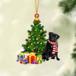 Pug-Christmas Star Hanging Ornament