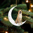 Chinook-Sit On The Moon-Two Sided Ornament