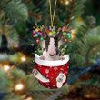 Bull Terrier-In Christmas Pocket Two Sides Ornament