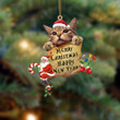 Cat-Christams & New Year Two Sided Ornament