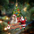 Shetland Sheepdog-Christmas Tree&Dog Hanging Ornament
