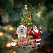 Coton De Tulear-Christmas Tree&Dog Hanging Ornament