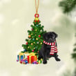 BLACK Pug 1-Christmas Star Hanging Ornament