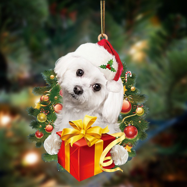 Maltese-Dogs give gifts Hanging Ornament