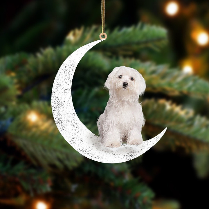 Maltese 2-Sit On The Moon-Two Sided Ornament