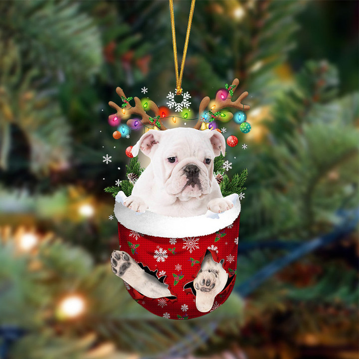 WHITE English Bulldog-In Christmas Pocket Two Sides Ornament