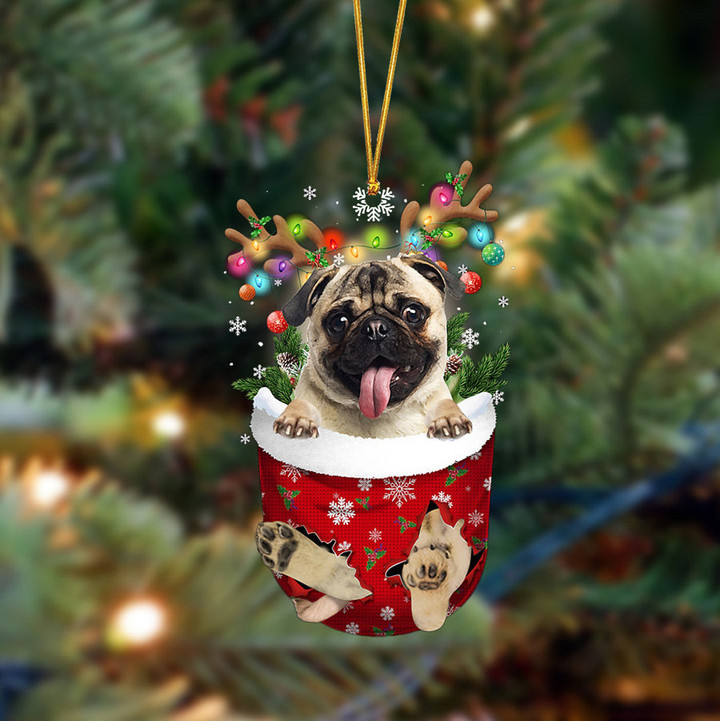 Pug-In Christmas Pocket Two Sides Ornament