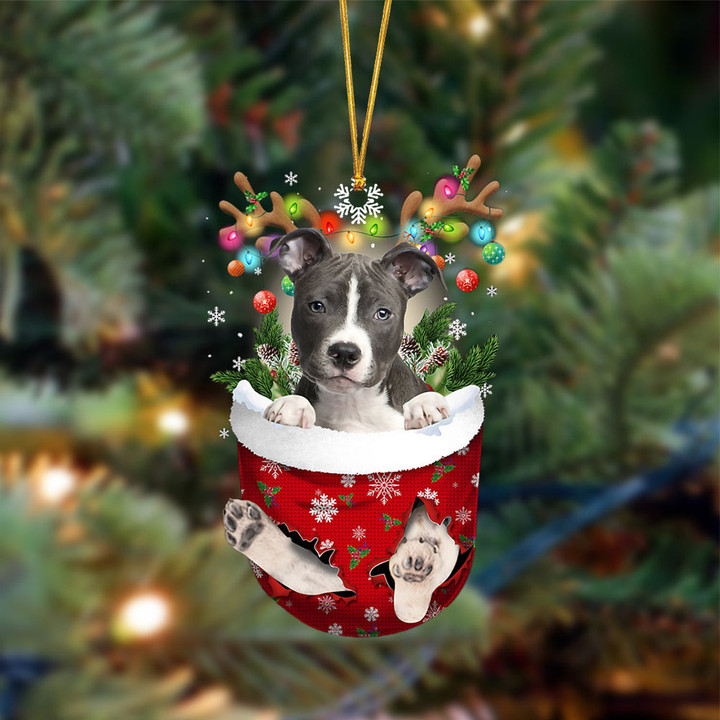 BLUE Nose Pitbull-In Christmas Pocket Two Sides Ornament