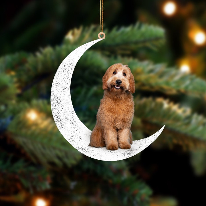 Labradoodle 1-Sit On The Moon-Two Sided Ornament