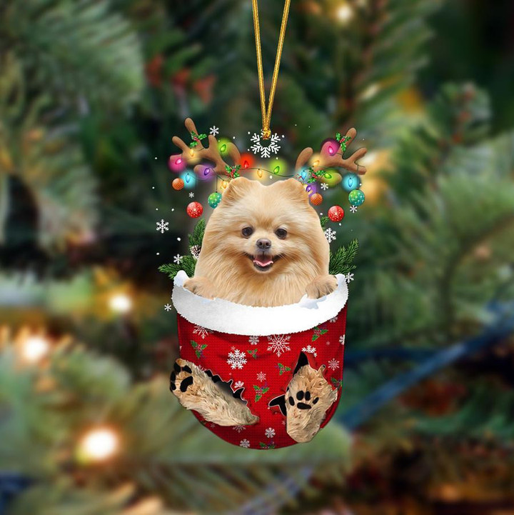 Pomeranian-In Christmas Pocket Two Sides Ornament
