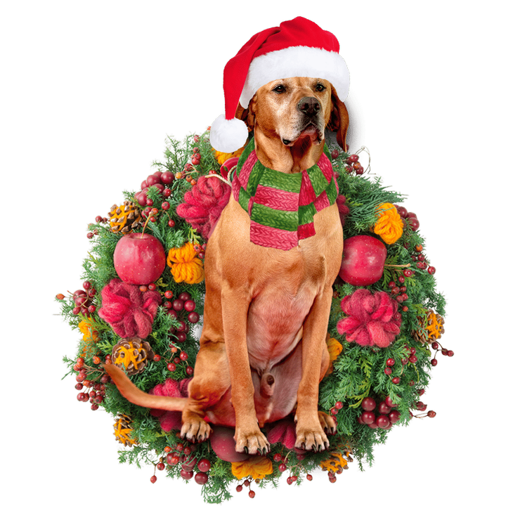 Red Labrador Christmas Ornament