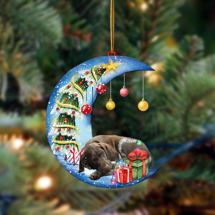 German Shorthaired Pointer-Sleep On The Moon Christmas Two Sided Ornament