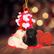 Labrador Retriever Heart balloons couple Shape Ornament