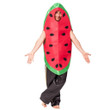 Carnival Costume Men Fruit Cosplay Adult Costume Watermelon Costume Loose Halloween Christmas Costume 2020 New Arrival