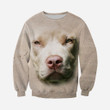 3D All Over Printed The Giant Blown Up Face Of American Pit Bull Terrier Shirts and Shorts