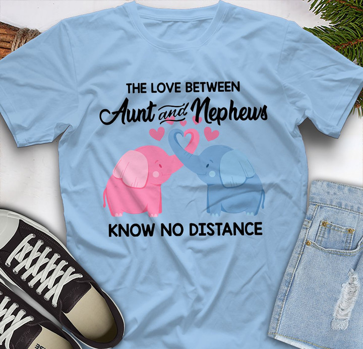 The Love Between Aunt And Nieces Know No Distance Ladies Printed Tshirt QTD110072