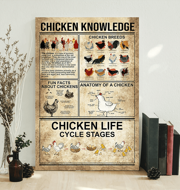 Chicken Knowledge Canvas