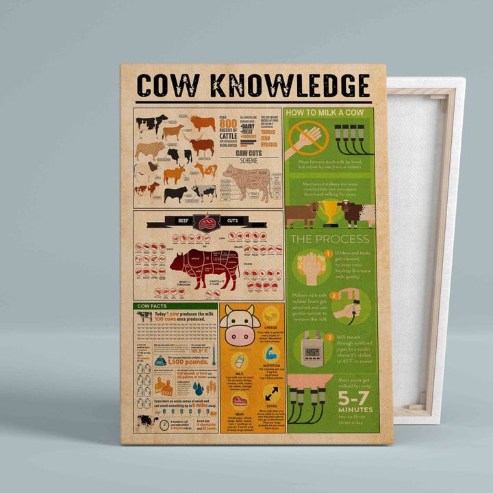 Cow Knowledge Canvas, Wall Art Canvas, Gift Canvas, Christmas Canvas