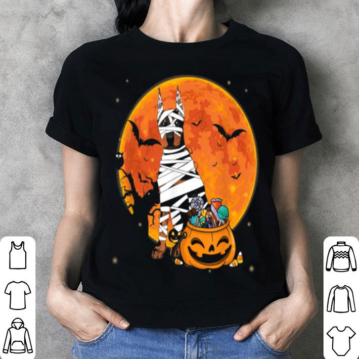 Halloween Doberman Cosplay Mummy Printed Tshirt PNG110135