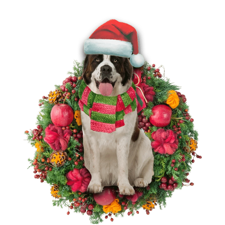 Saint Bernard Christmas Ornament 2