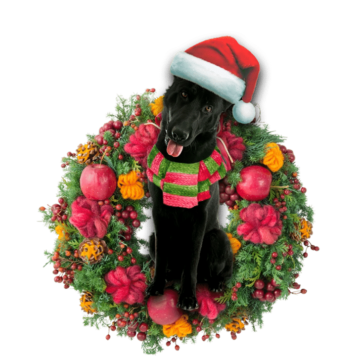 Black German Shepherd Christmas Ornament