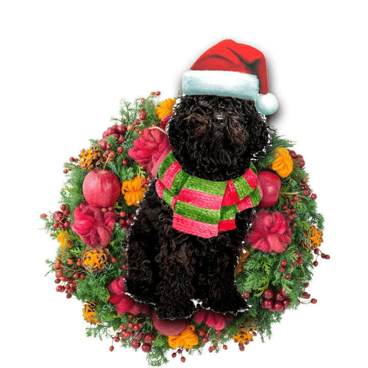Black Poodle Christmas Ornament