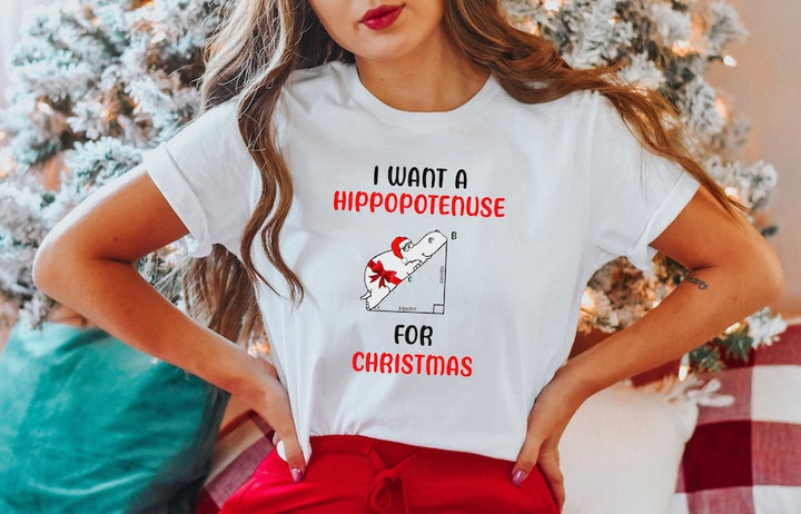 I Want A Hippopotenus For Christmas Sweater Shirt