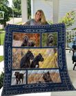 Cane Corso In Natural Quilt Blanket Great Customized Blanket Gifts For Birthday Christmas Thanksgiving