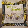Bc You Are My Sunshine Cat Quilt Blanket