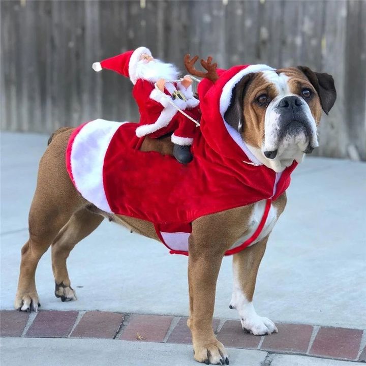Santa-Riding Pet Costume