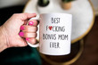 Mother's Day Gift, Funny Best Bonus Mom Mug