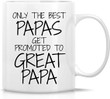 Only The Best Papas Get Promoted to Great Papa Ceramic Coffee Mug