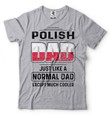 Polish Dad T-Shirt Gift For Polish Funny Father's Day Gift Polish Heritage Poland Day Tee Shirt
