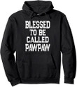 Vintage Gift for Grandpa Blessed To Be Called PawPaw Pullover Hoodie