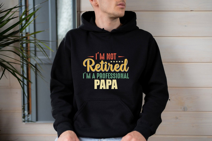 I'm Not Retired I'm a Professional Hoodie, Funny Hoodie Men, Father's Day Gift