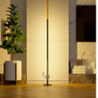 Modern Minimal LED Floor Corner Lamp