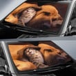 Dog And Cat Friends Car Sun Shades Amazing Gift Ideas T042022