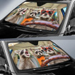 Three Funny Raccoon Driving Car Sun Shades Auto