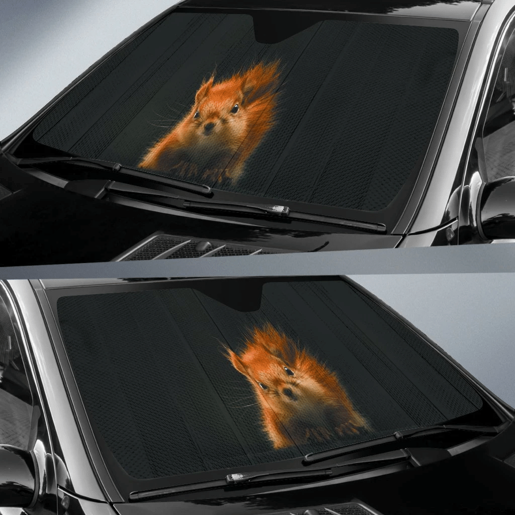 Squirrel In Dark Theme Car Auto Sunshades Auto Sun Shades