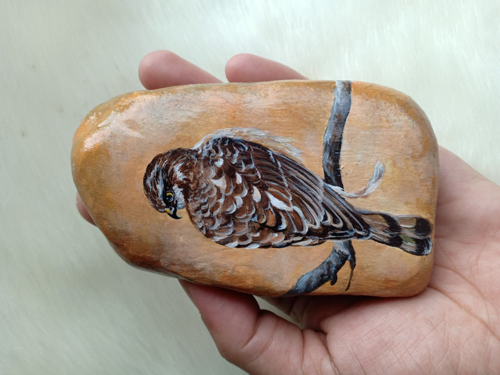 Painted Rock, Hand Painted On Natural Rock: 4 Wild Bird Rocks