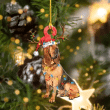 Cute Bloodhound Christmas Ornament - Christmas Gift For Family, For Her, Gift For Him, Gift For Pets Lover Shape Ornament.